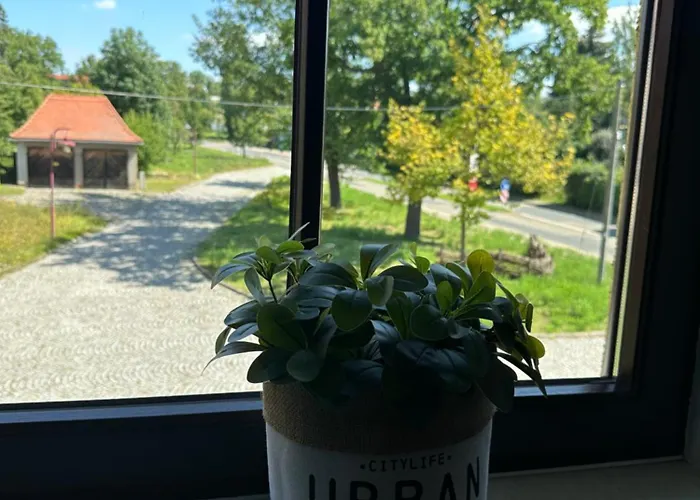 Und Monteurzimmer Mit Kueche Und Waschmaschine Szálloda Ollendorf (Sommerda)