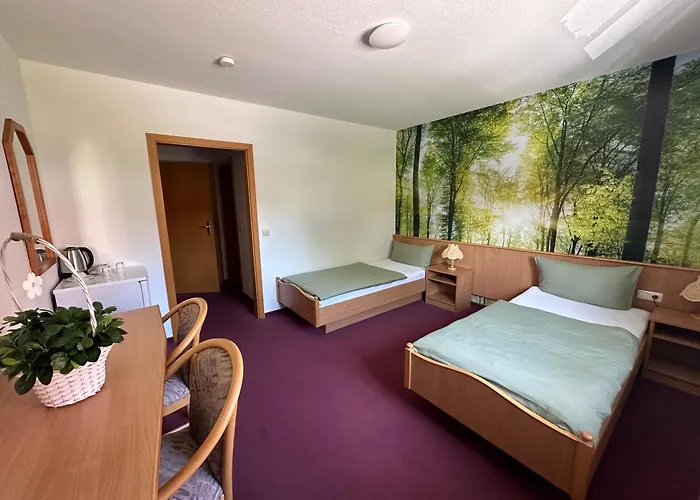 Und Monteurzimmer Mit Kueche Und Waschmaschine Ollendorf (Sommerda)